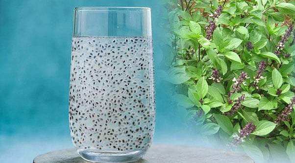 துளசி விதைகளை நீரில் ஊற வைத்துப் பருகுவதால் உண்டாகும் நன்மைகள் தெரியுமா?