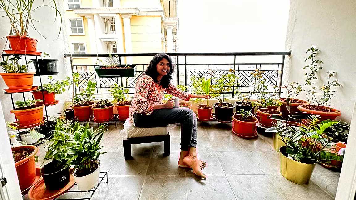 வீட்டிற்குள் வளரும் கலப்பட செடிகள்! 