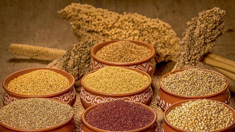 கைவிடப்படும் தாவர வகைகள்: மாற்றம் காணும் வருங்கால உணவு உற்பத்தி!