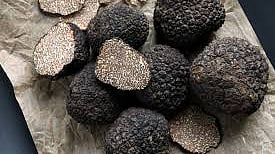ட்ரஃபிள் (Truffle) எனப்படும் பூஞ்சை கிழங்கு தரும் போஷாக்கு!