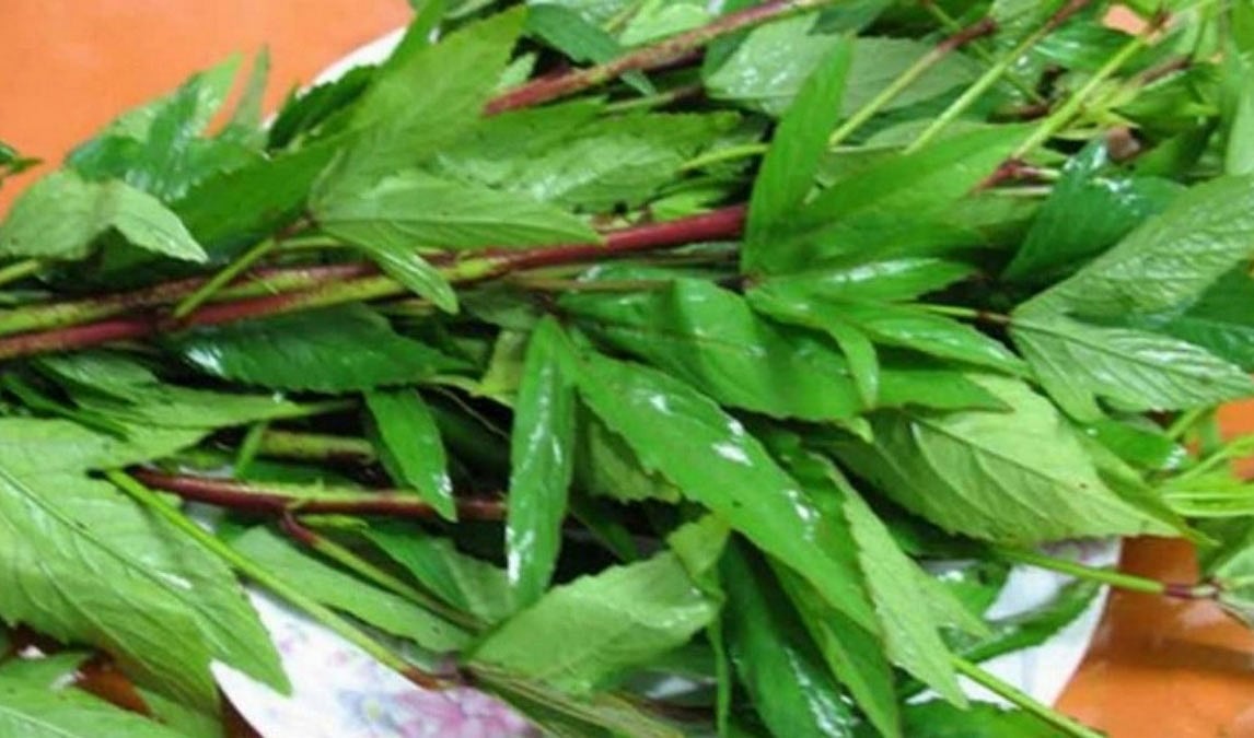 புளிக்கு பதிலாகப் புளிச்சக்கீரை!