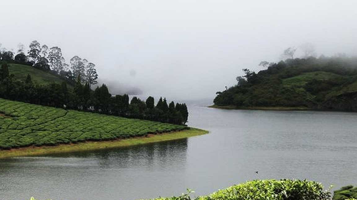 மேககூட்டங்களின் நடுவே மறைந்திருக்கும் மாணிக்கம்! 
மேகமலைக்கு ஒரு பயணம்!
