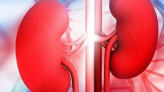 சிறுநீரகங்களின் ஆரோக்கியம் காக்க ஒன்பது ஆலோசனைகள்!