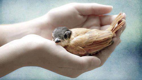 செயலிலே அன்பு காட்டுவது எப்படி?