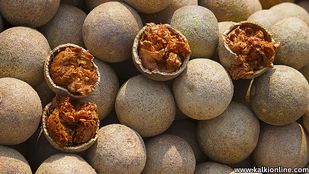 விளாம்பழம் சாப்பிடுவதால் இவ்வளவு நன்மைகளா? 