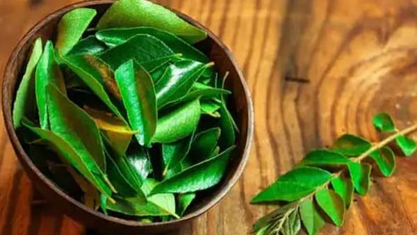 ஆரோக்கிய நன்மை தரும் ஏழு தாவர இலைகளும் அவற்றின் பயன்களும்!