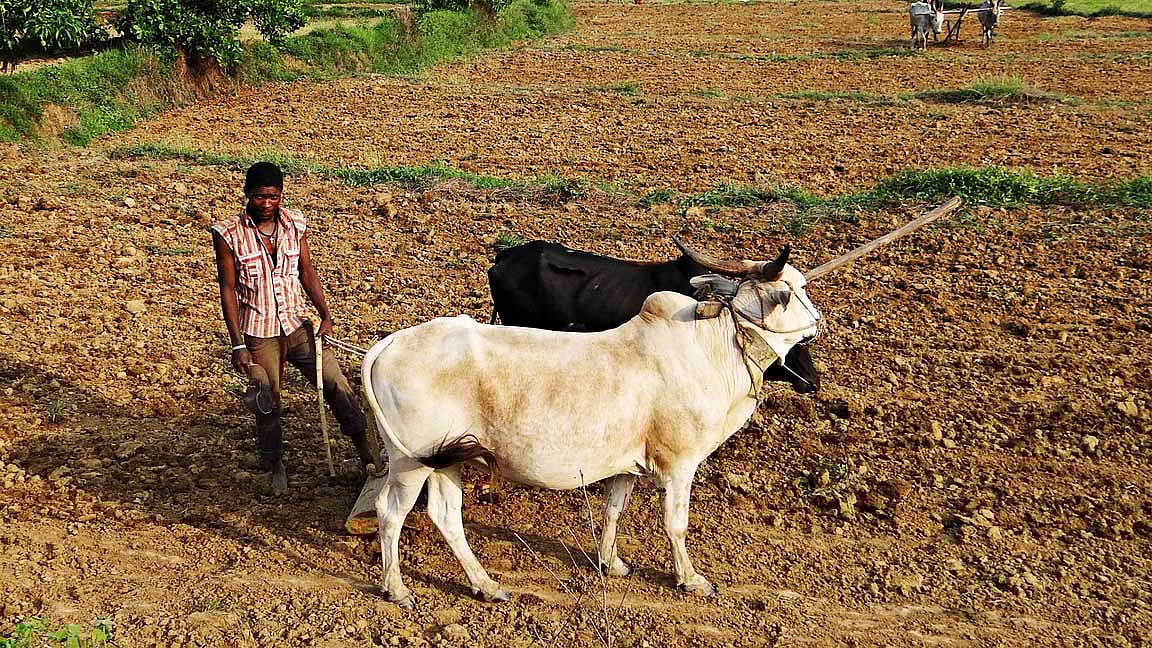உலகப் பந்தை உருட்டி விளையாடுவோம்! 