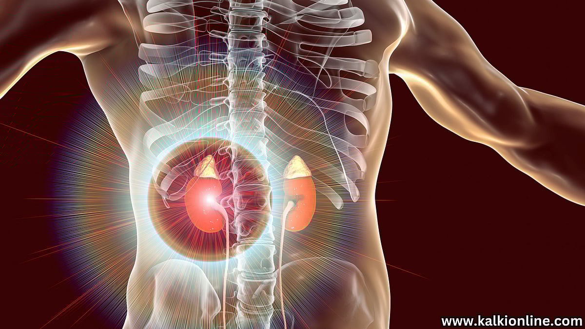 சிறுநீரகப் பிரச்னை உள்ளவர்கள் தவிர்க்க வேண்டிய உணவுகள்!