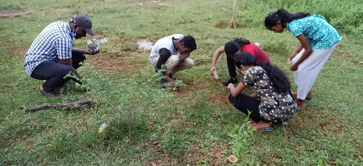 விதை விதைக்கலாம் வாங்க!