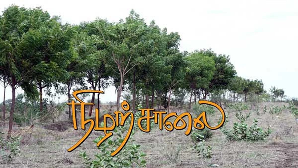 நிழற்சாலை
