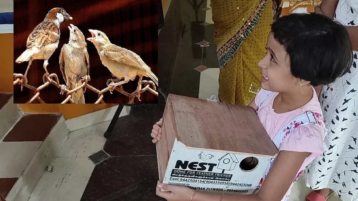 சிட்டுக்கூட்டுடன் சிறுமி நியா