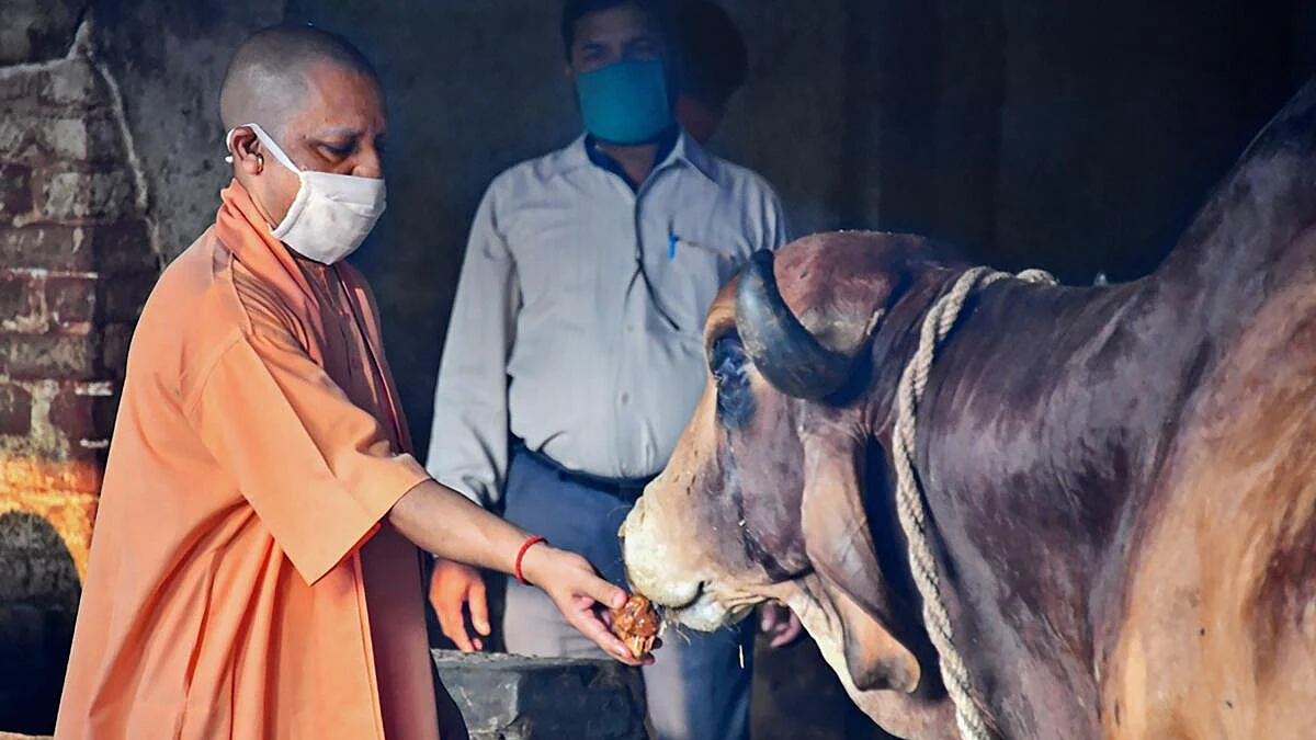 பாஜக ஆட்சியில் காளை, எருது, பெண்களுக்கு பாதுகாப்பு!