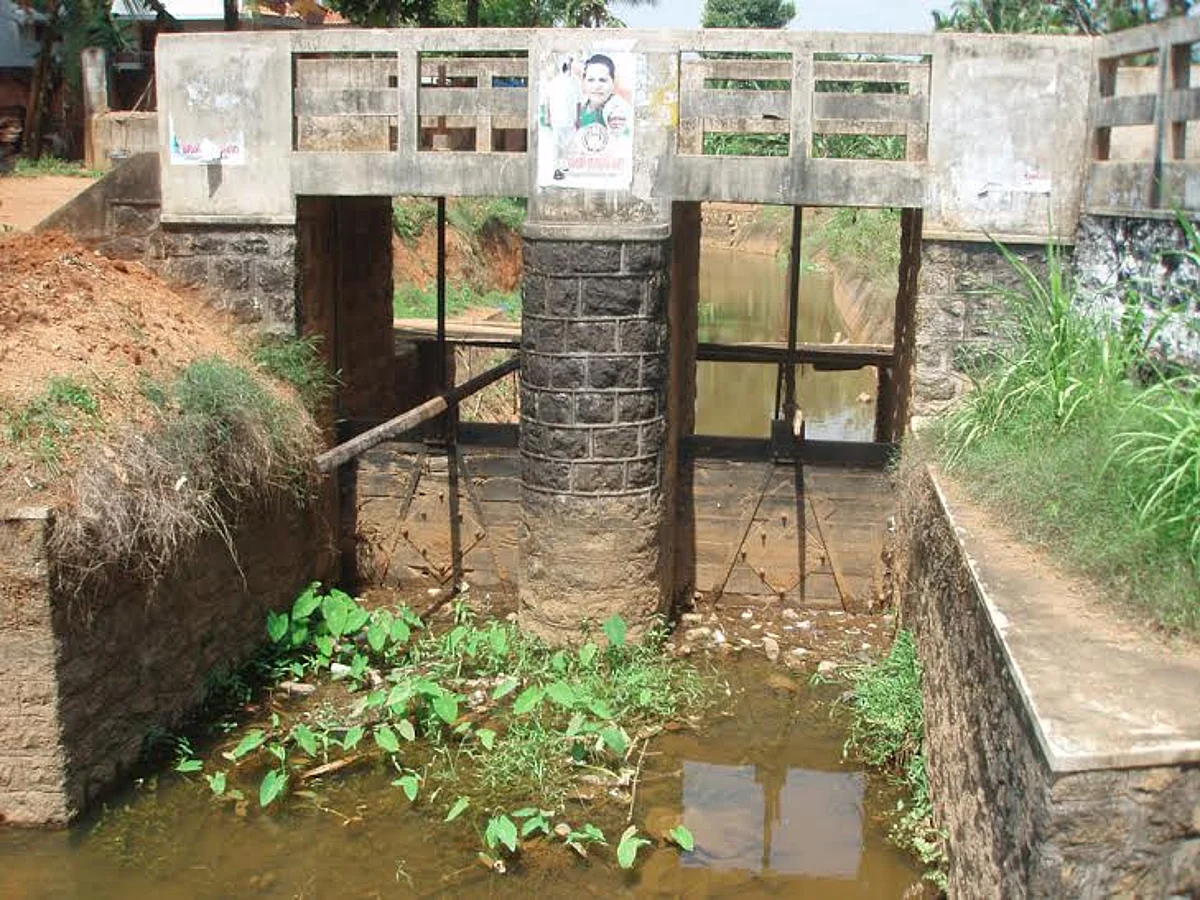 நெய்யாறு இடதுகரை கால்வாய் ஆக்கிரமிப்பு அகற்றப்படுமா?