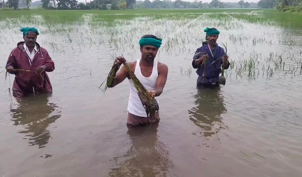 கண்துடைப்பு நிவாரணம்... கலங்கும் விவசாயிகள்!