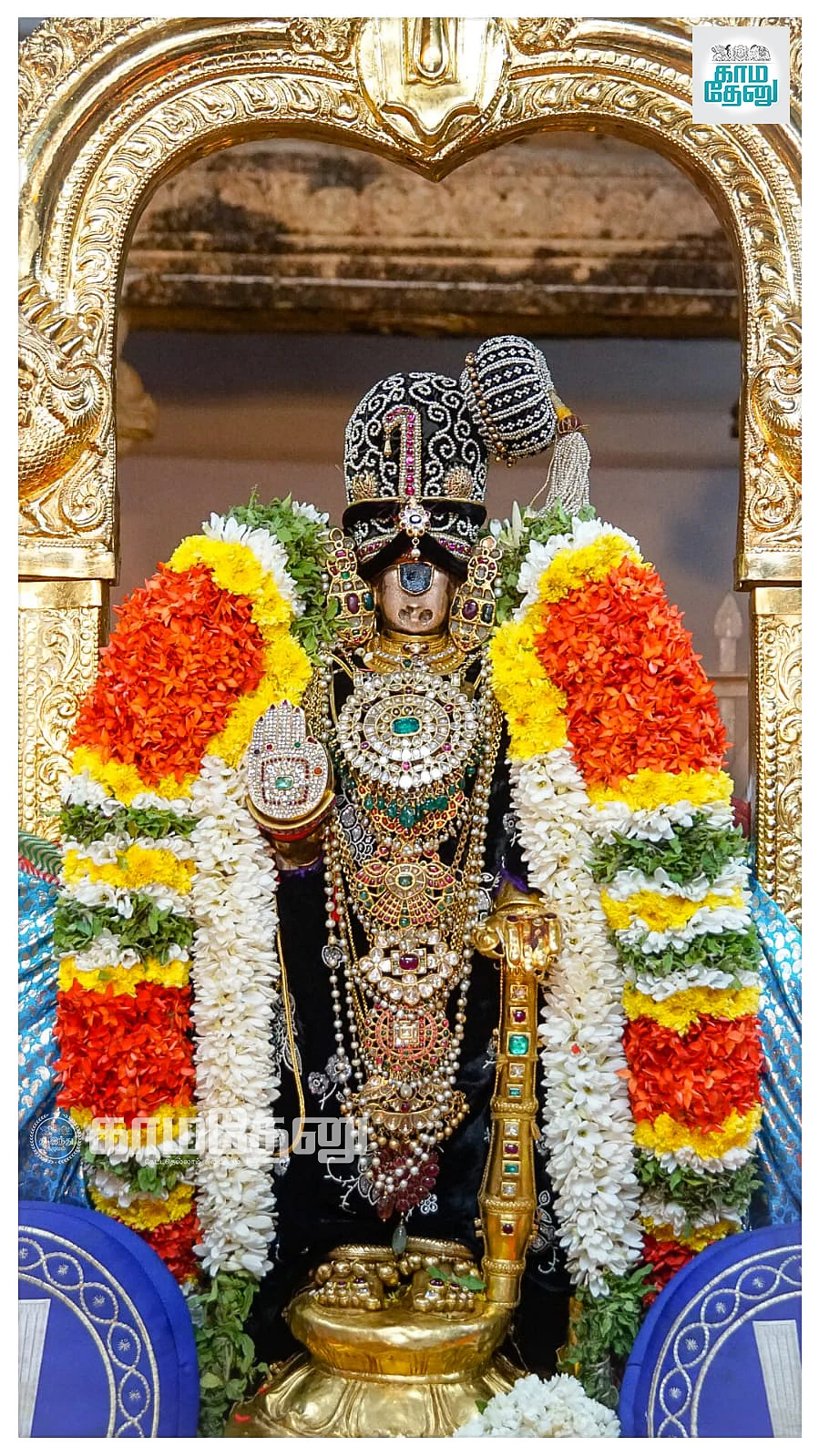 பகல் பத்து7-ம் நாள் இன்று (10.12.2021) ஸ்ரீநம்பெருமாள் முத்து சாய்வு கொண்டை அணிந்து, கபாய் சட்டை, அடுக்குப் பதக்கம், வைர அபயஹஸ்தம், முத்துமாலை உள்ளிட்ட திருவாபரணங்களுடன் பக்தர்களுக்கு சேவை சாதித்து வருகிறார்.