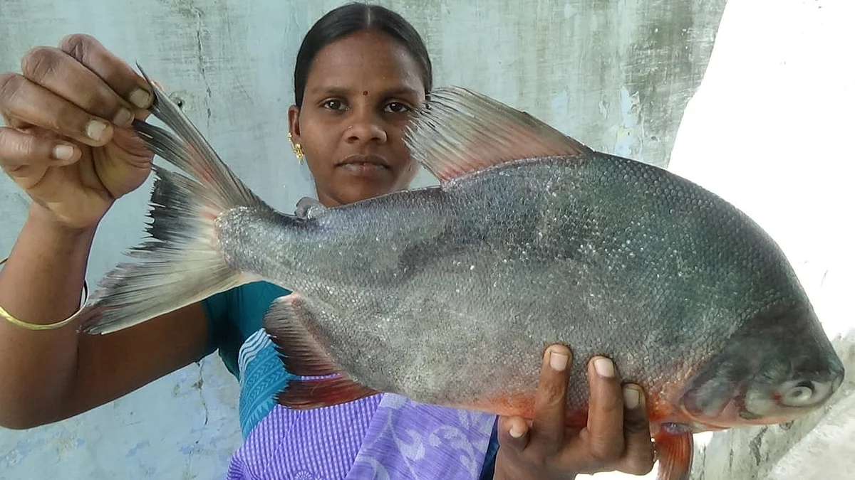 ஆனந்தி