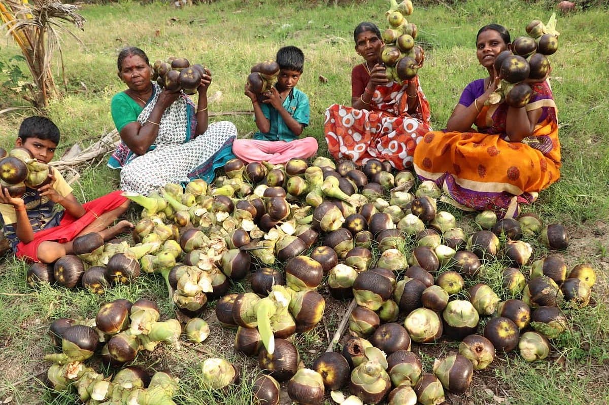 குழுவினருடன் ஆனந்தி