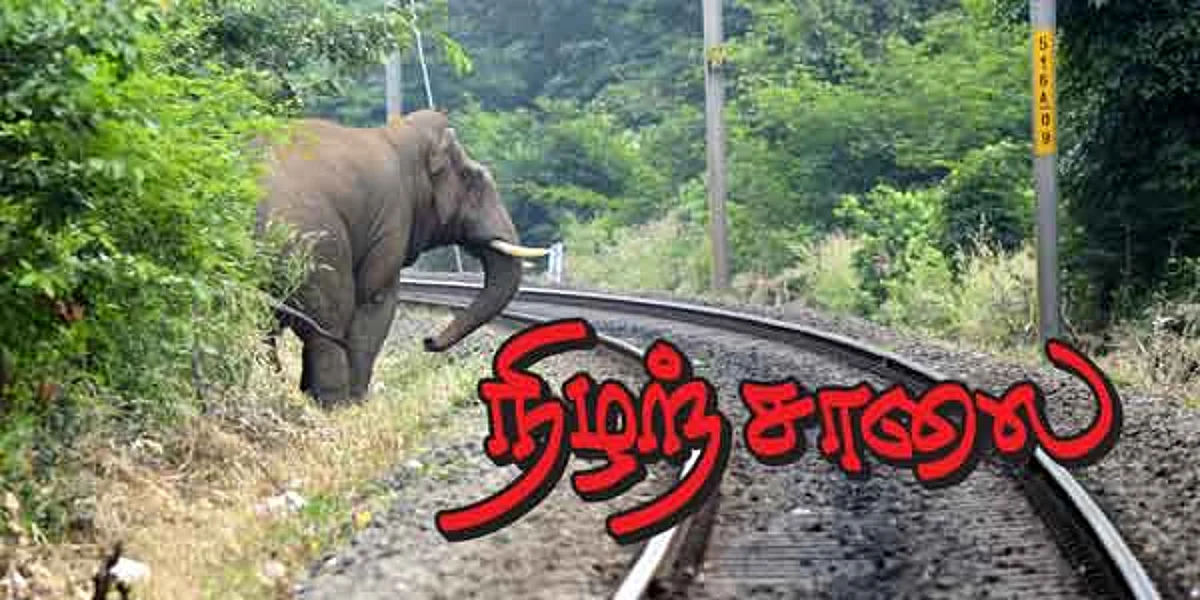 நிழற்சாலை