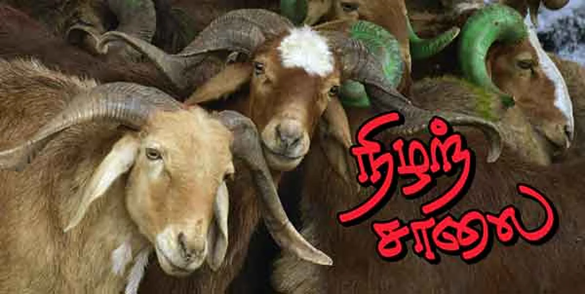 நிழற்சாலை