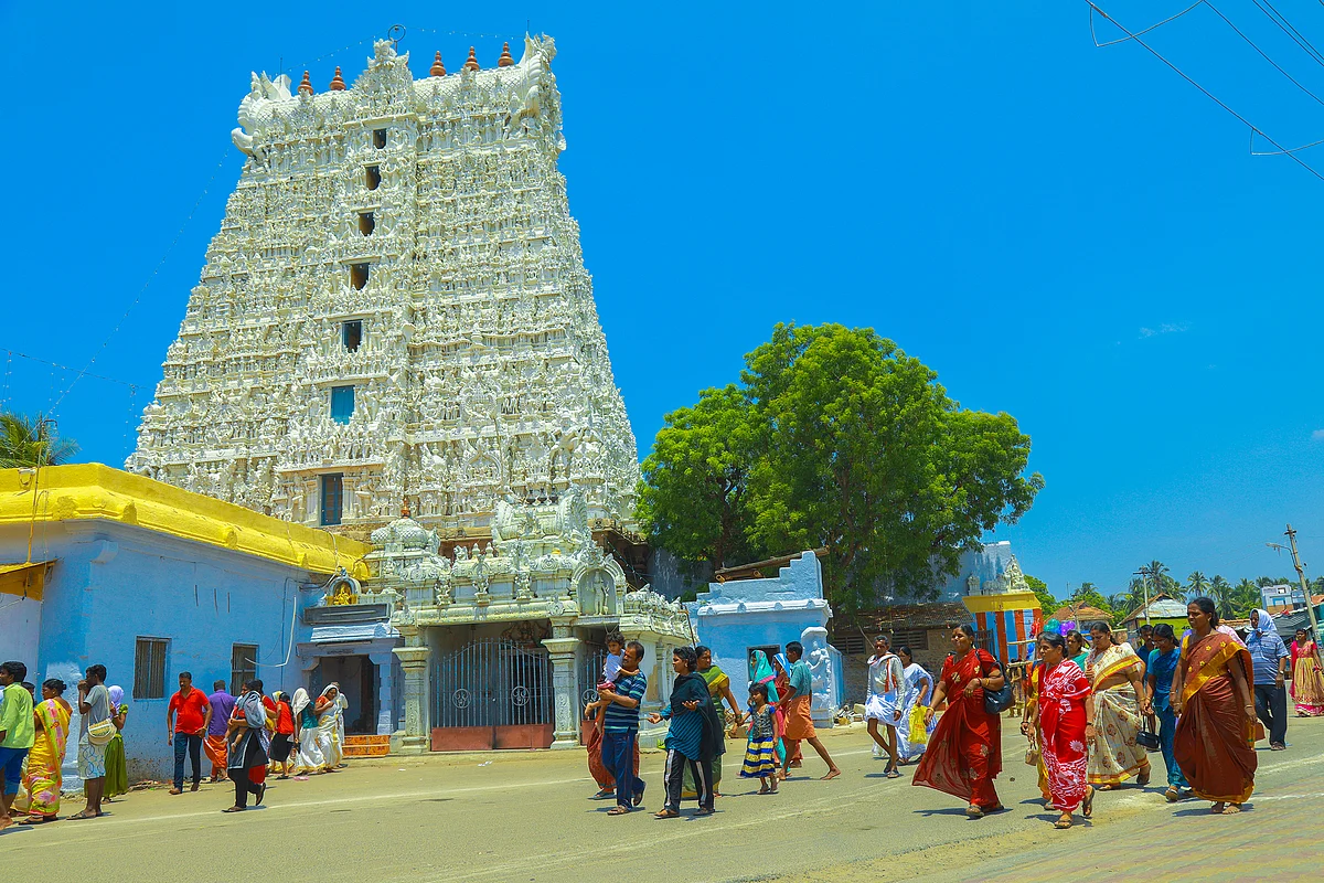 சுசீந்திரம் கோயிலுக்கு புனித நீர் வரும் பாதையில் இறந்துகிடந்த பசுமாடு!