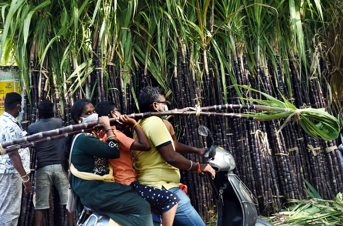 கரும்பை கழுவிட்டு சாப்பிடுங்க: உணவுப் பாதுகாப்புத் துறை எச்சரிக்கை!