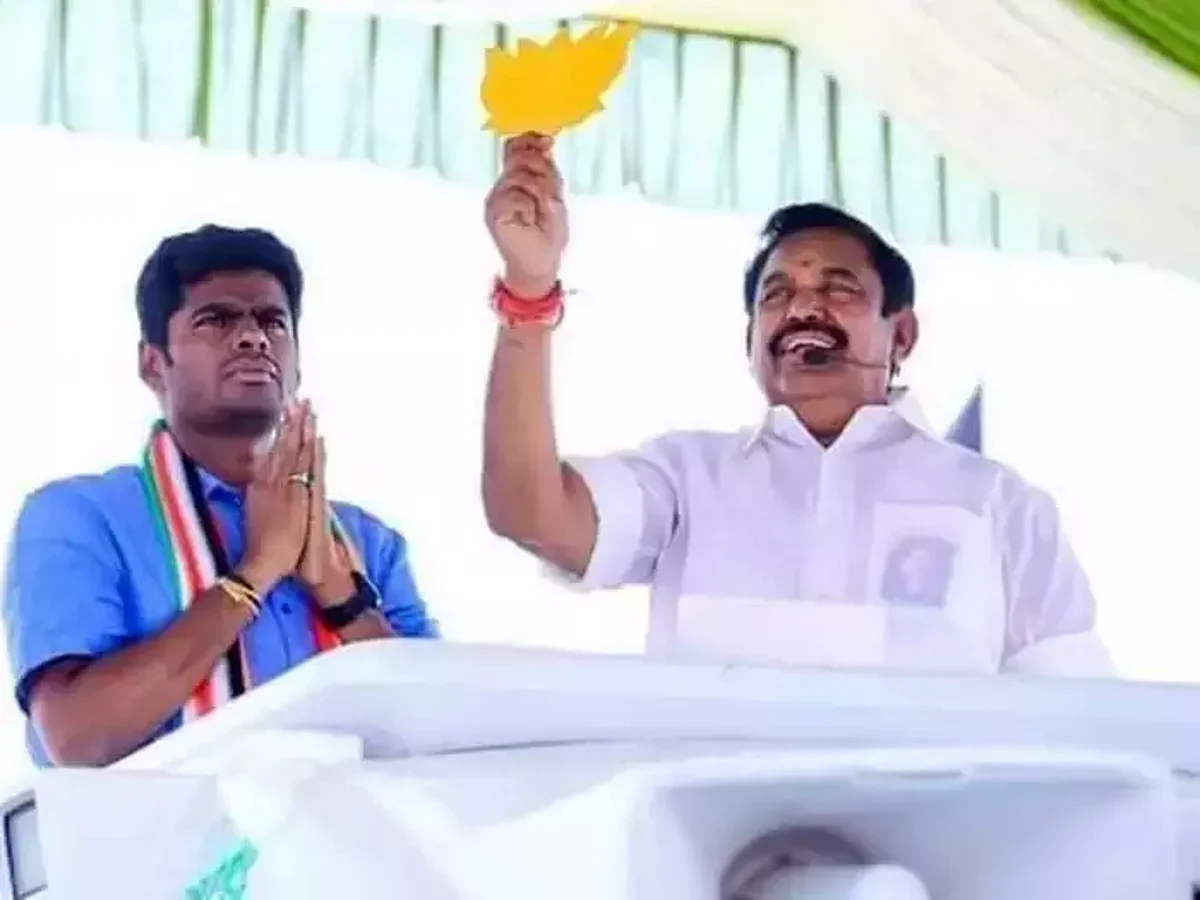 தாமரையை தாக்க வேண்டாம்!