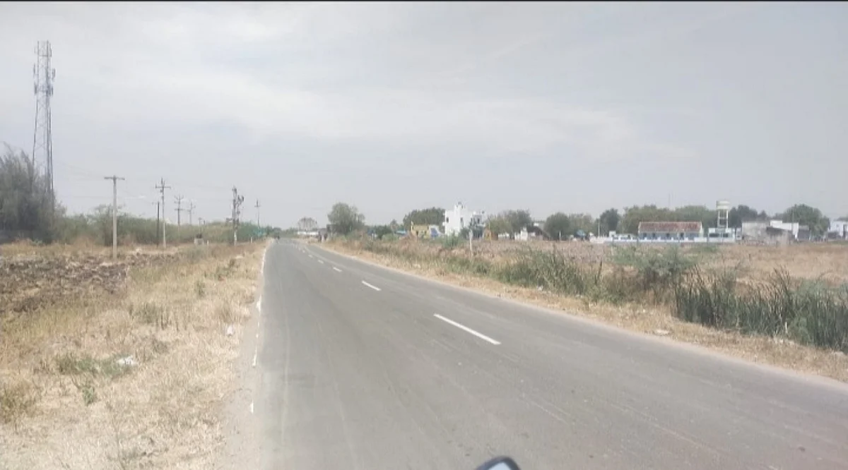 'கிணறு போல மரக்கன்றுகளைக் காணோம்!'