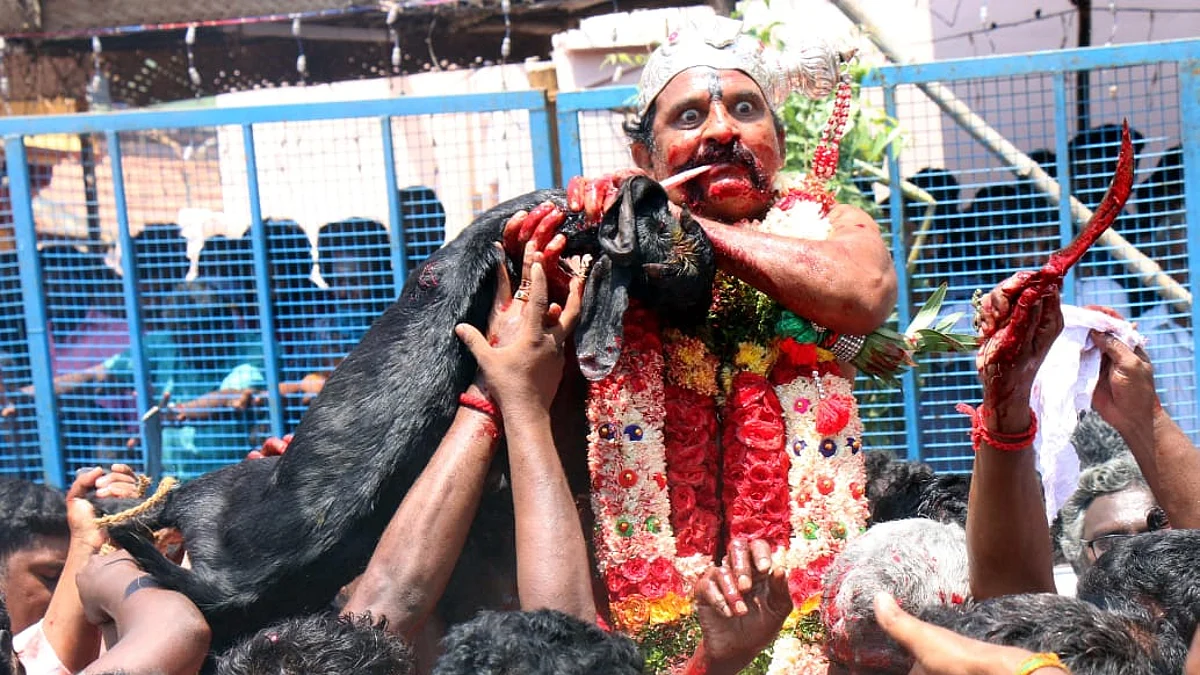 குழுமாயி அம்மன் கோயிலில் குட்டிக்குடி திருவிழா