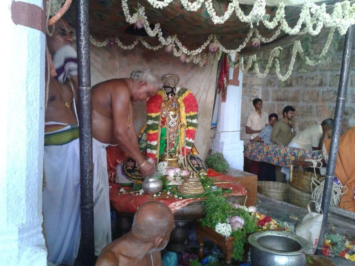 பழைய சோறும் மாவடுவும்