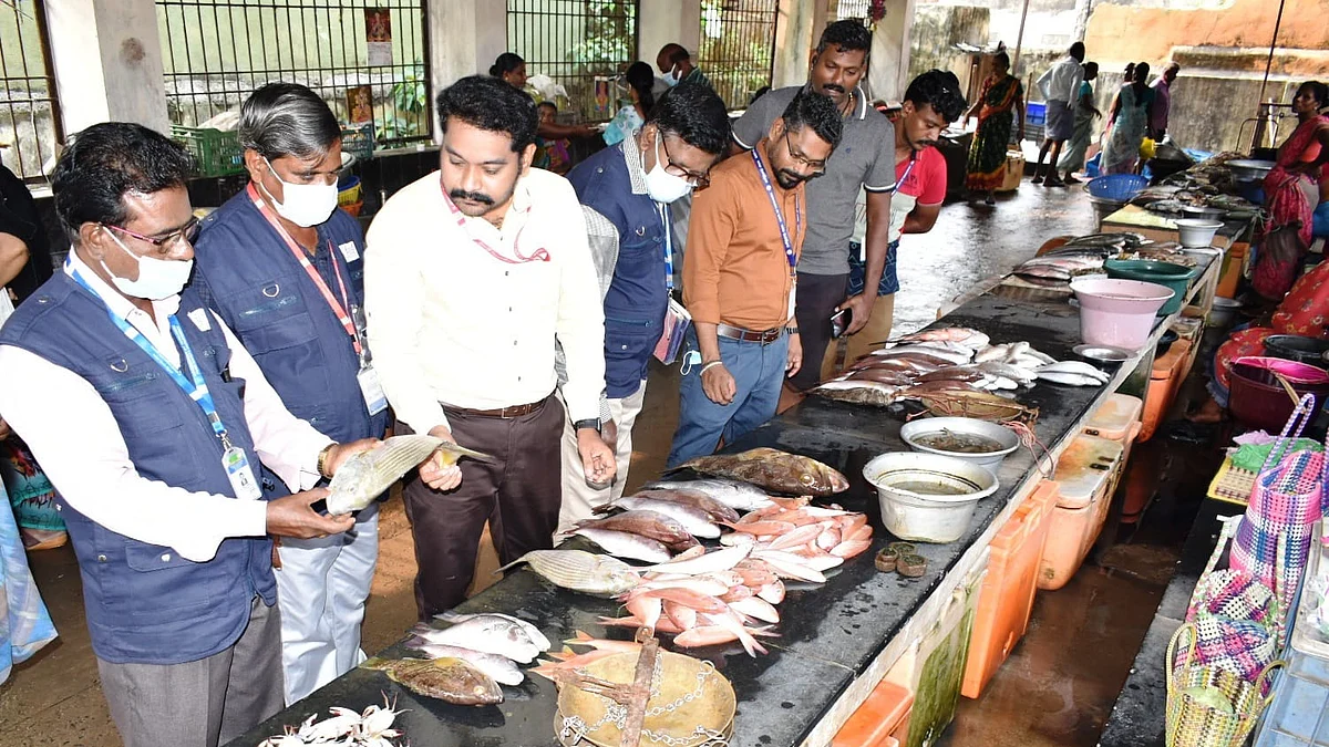 கெட்டுப்போன மீன்கள் பறிமுதல்: கடலூரில் உணவுப் பாதுகாப்புத் துறையினர் நடவடிக்கை!