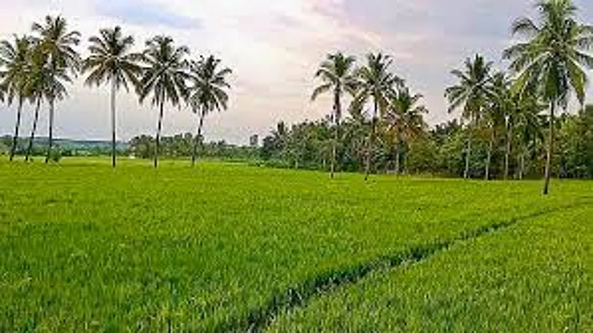 ’கடன் வாங்க, வயல் புகைப்படத்துடன் வாங்க’