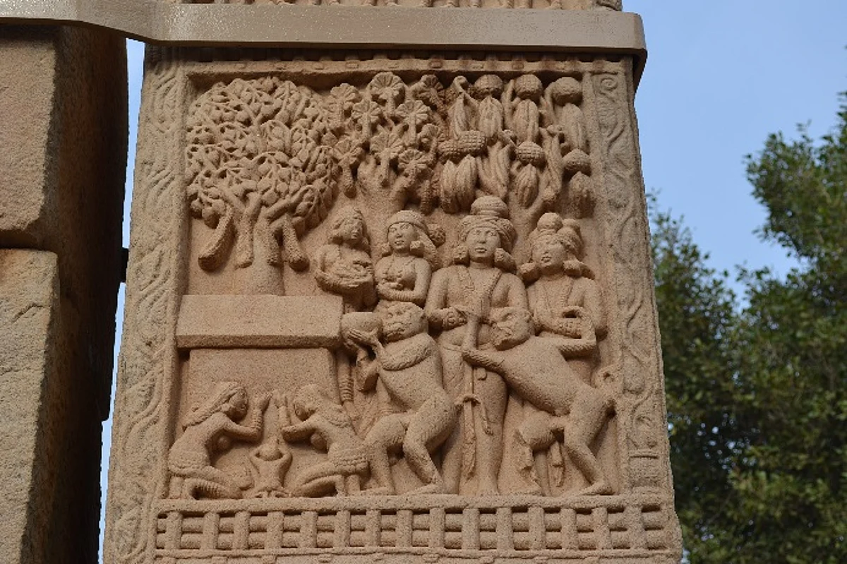 புத்தர் வெறும் கைக்காட்டி மரம்!
