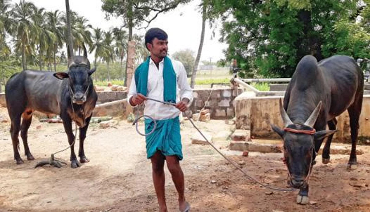 மேகமலை வனப்பகுதியில்
நாட்டு மாடுகளுக்கு அனுமதி: மார்க்சிஸ்ட் கட்சி நம்பிக்கை