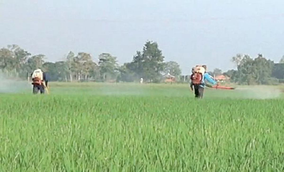 தமிழகத்தில் எகிறியது உரம் விலை: விவசாயிகள் வேதனை