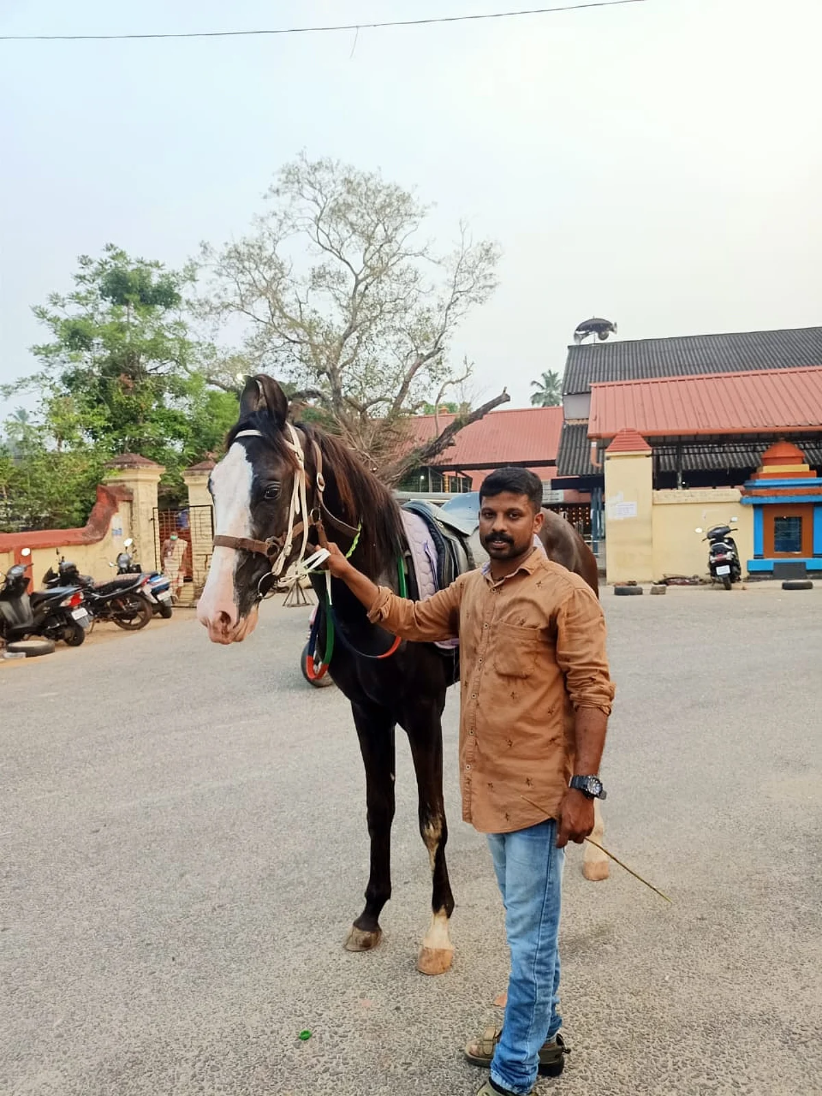 குதிரையில் வந்து மக்கள் குறை கேட்கும் மனு!