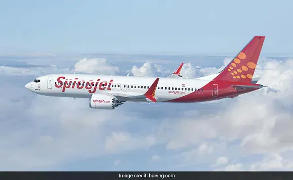 ஸ்பைஸ்ஜெட் விமானிகள் போயிங் 737 மேக்ஸ் விமானங்களை இயக்க தடை விதிக்கப்பட்டது ஏன்?