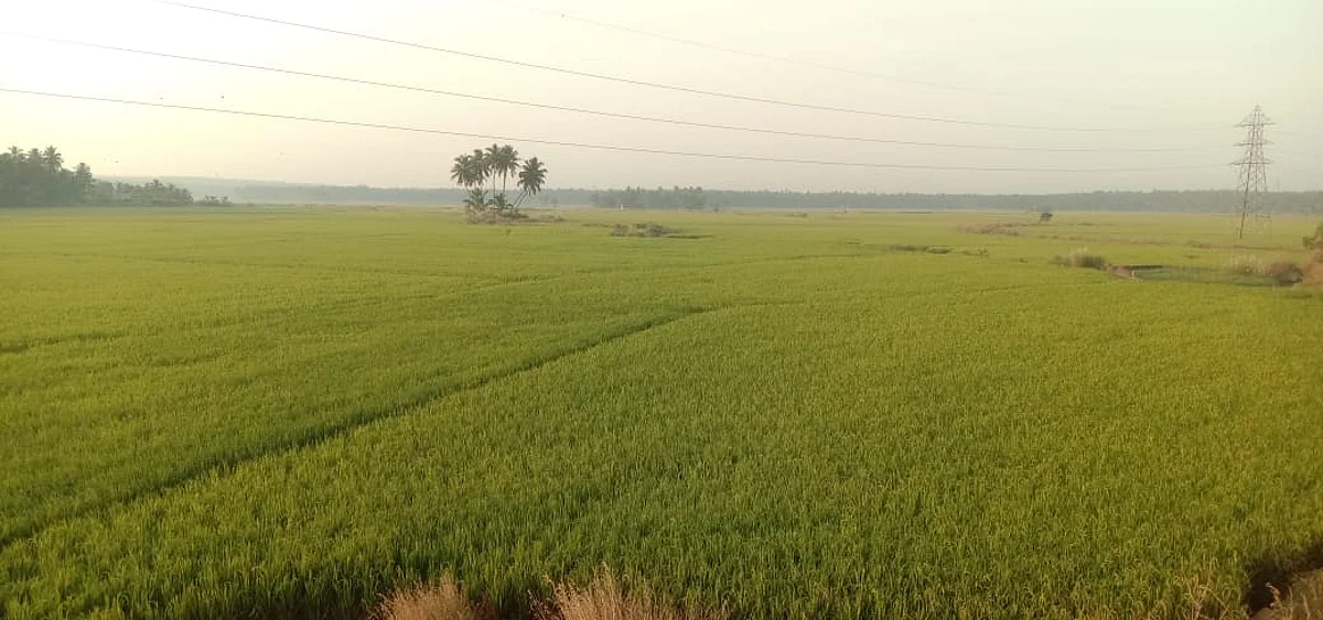 பெரியகுளம் ஏலாவை பேசவைத்த வழக்கு!