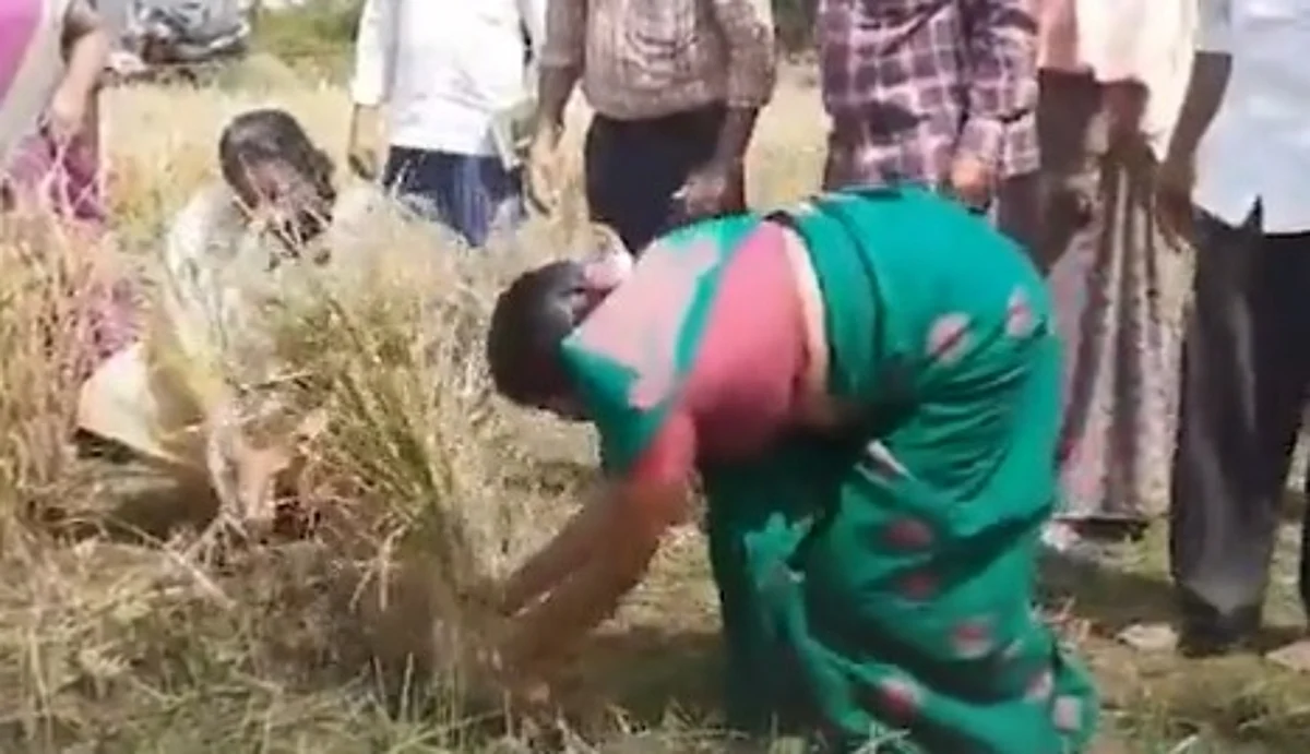 வயலில் இறங்கி அறுவடை செய்த தருமபுரி கலெக்டர்: விவசாயிகள் ஆச்சரியம்