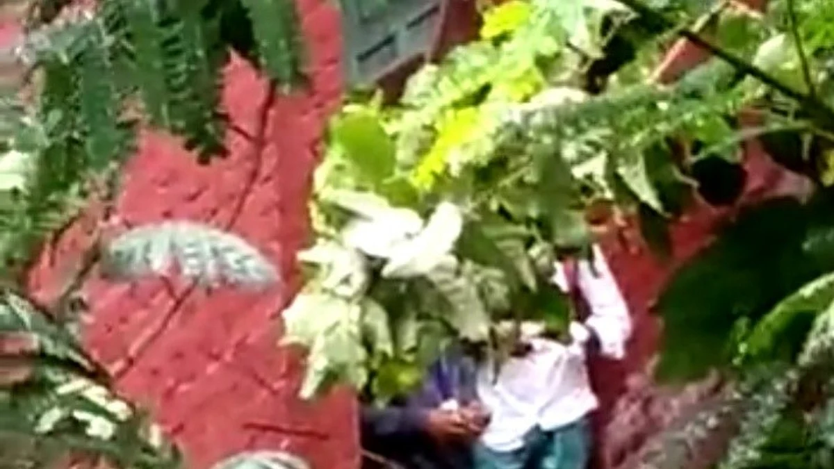 கல்லூரி வளாகத்திலேயே கஞ்சா: வீடியோ எடுத்து மாணவர்களைச் சிக்க வைத்த பேராசிரியர்!