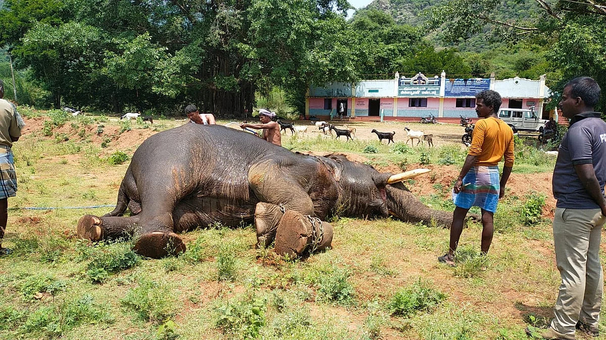 கோப்புப் படம்