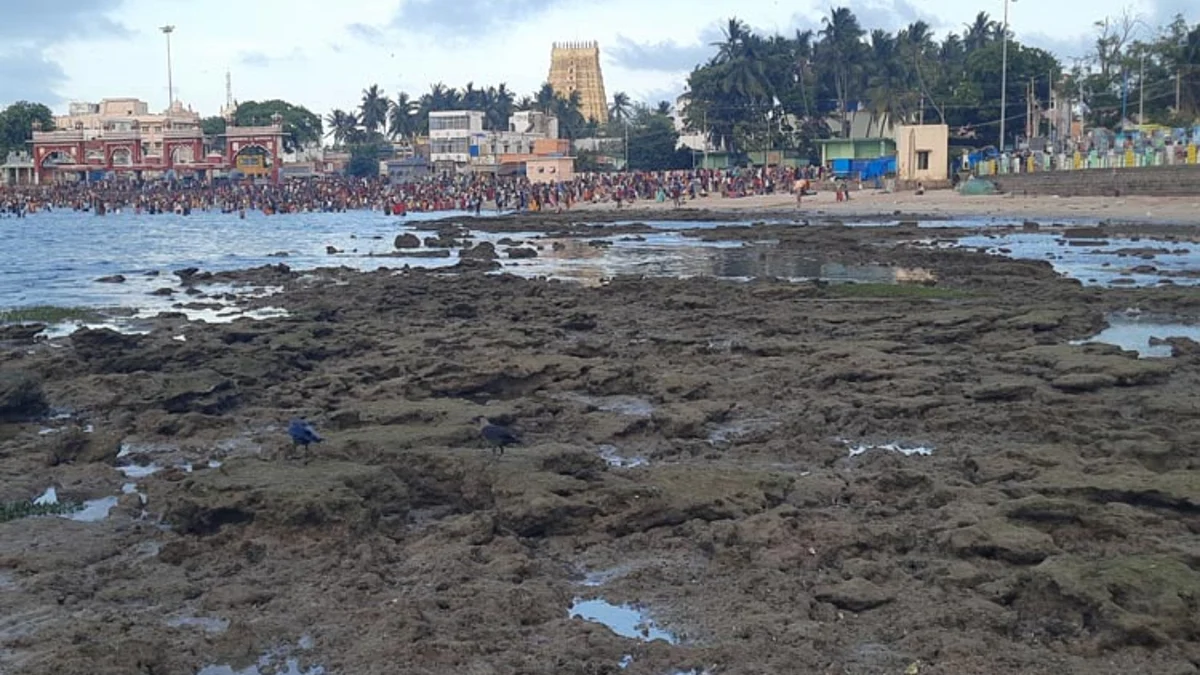 உள்வாங்கிய அக்னிதீர்த்தக் கடல்... அச்சத்தில் பக்தர்கள்!