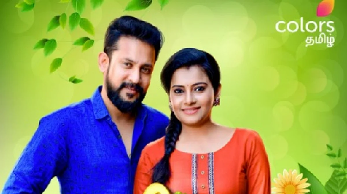 நம் மனதில் நீங்காத இடம் பிடித்தது: மறுஒளிபரப்பு செய்யப்படும் `ஹிட்' சீரியல்கள்!