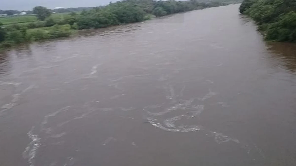 சட்டவிரோதமாக தண்ணீர் எடுக்கப்படும் அமராவதி ஆறு : கலெக்டருக்கு நோட்டீஸ்!
