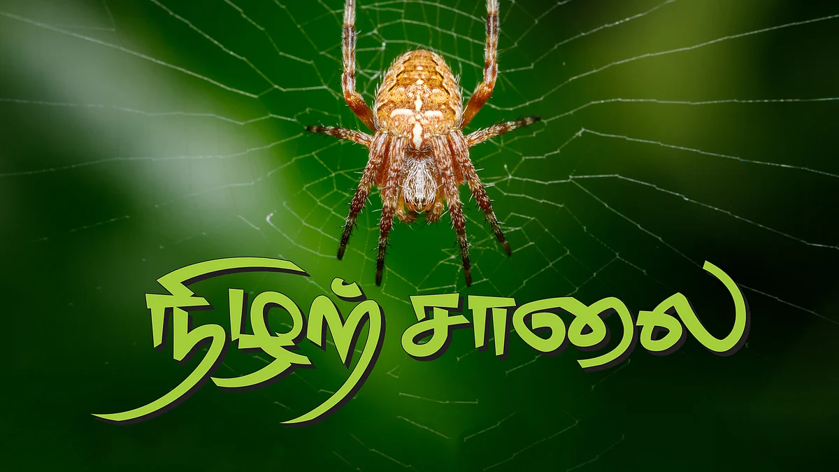 நிழற்சாலை