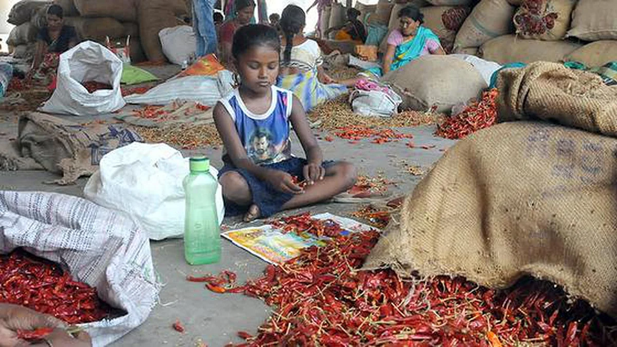இடைநிற்றலால் பாதிக்கப்படும் கல்வி: எதனால் ஏற்படும் அவலம் இது?