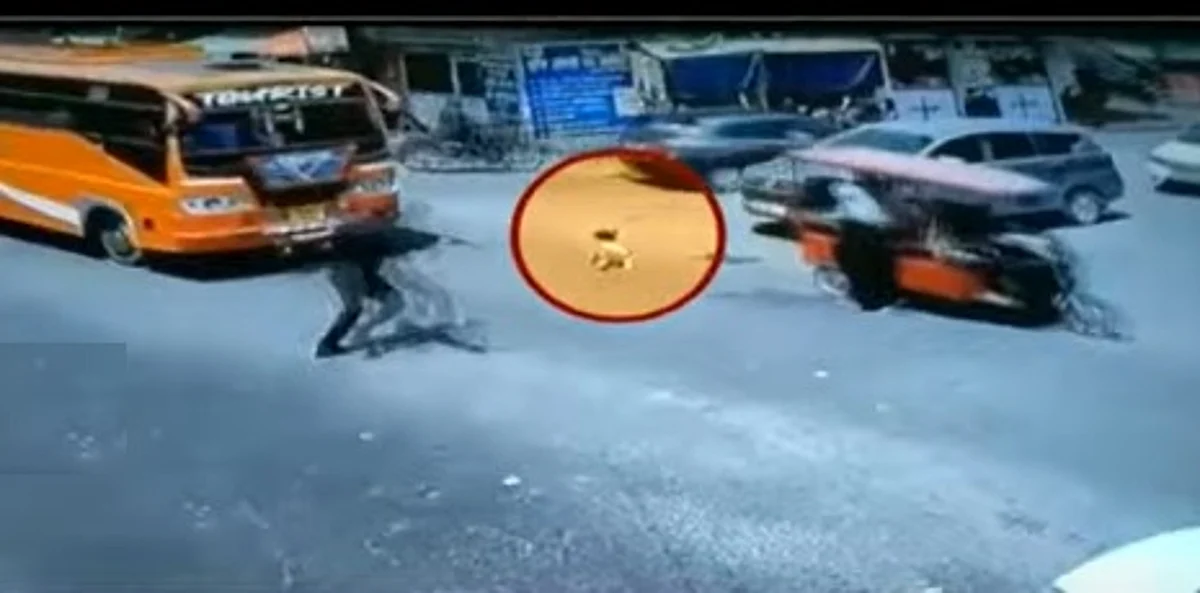 வாகனத்திலிருந்து விழுந்த குழந்தை... அலறியடித்து ஓடிவந்த தாய்: கண்ணிமைக்கும் நேரத்தில் காப்பாற்றிய வீரர்