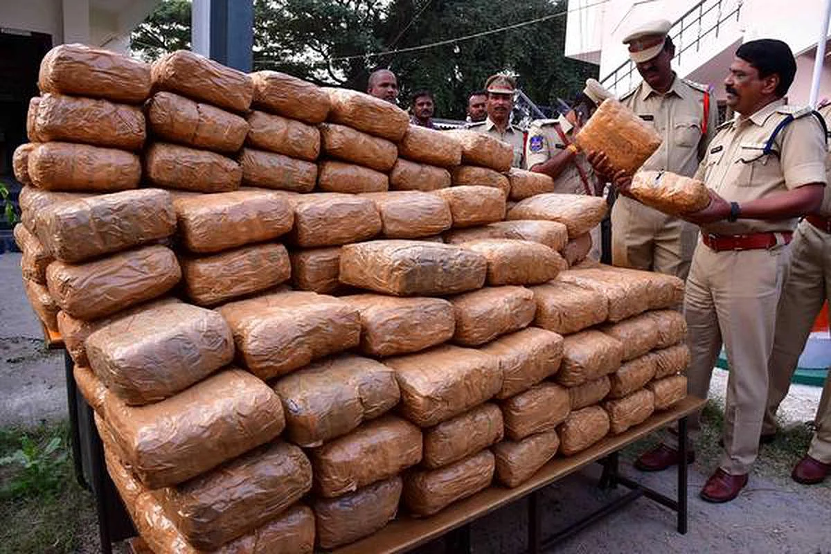 44 ஆயிரம் கிலோ போதைப் பொருட்கள் அழிப்பு: காணொலி மூலம் பார்வையிட்ட அமைச்சர்!