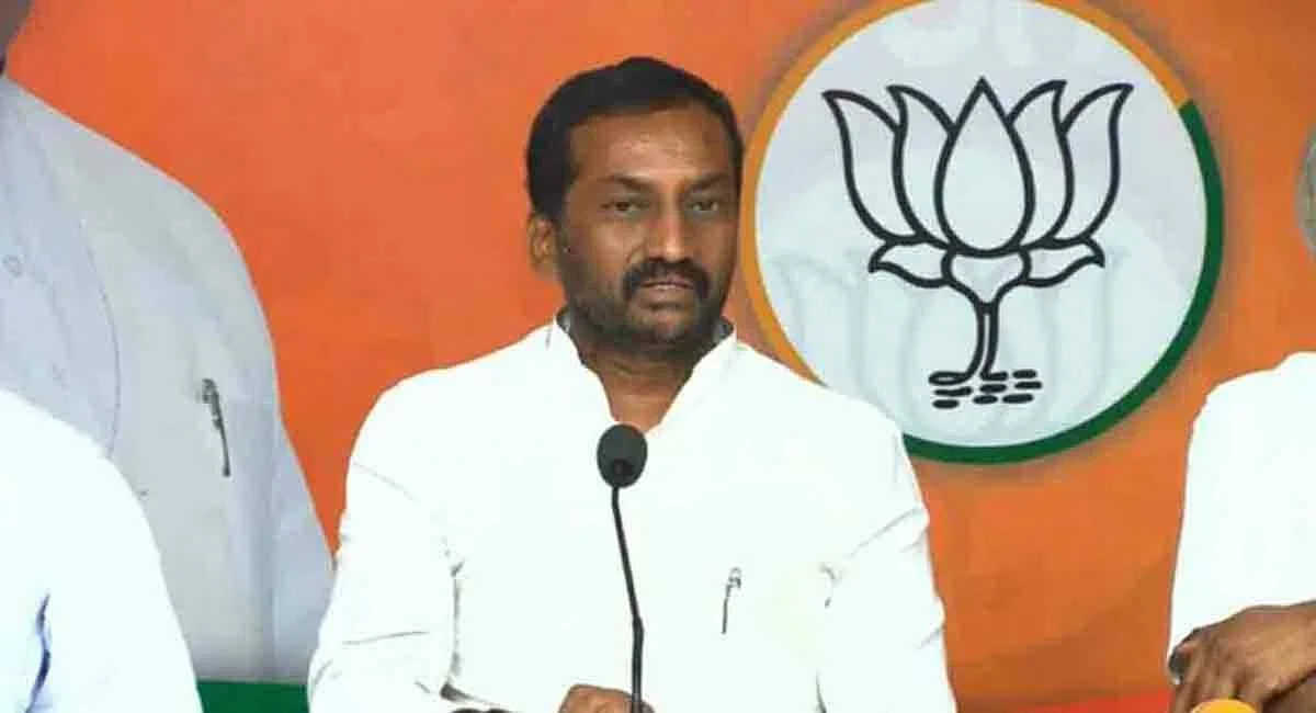 ரகுநந்தன் ராவ்