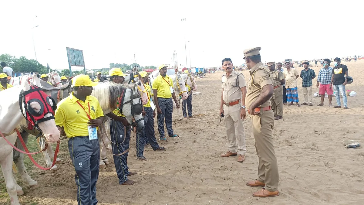 மெரினாவில் குதிரை ஓட்டிகளுக்கு அடையாள எண், சீருடை: குற்றங்களை தடுக்க போலீஸ் அதிரடி