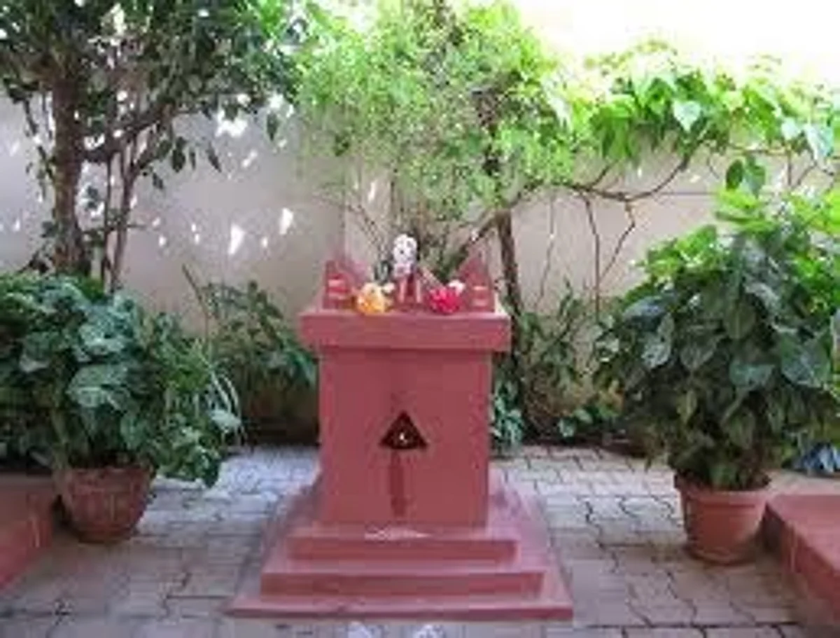 துக்கம் தீர்க்கும் துளசி வழிபாடு; ஐஸ்வர்யம் தருவாள் மகாலக்ஷ்மி